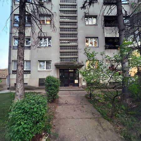 Sunny Apartment كراغوييفاك المظهر الخارجي الصورة